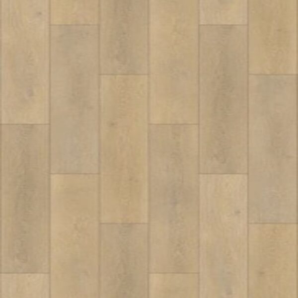 Forest Oak 2022 New Premium Quality Laminate Flooring (SG101)